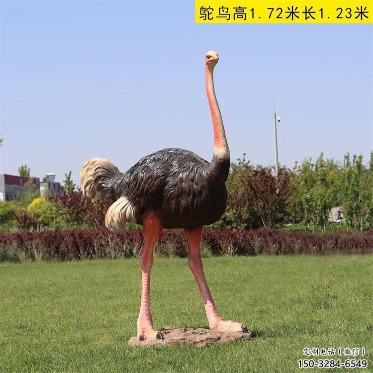 玻璃鋼仿真鴕鳥雕塑廠家，公園廣場動物，大型園林小品