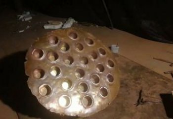 抽象蓮蓬雕塑 啞光植物雕塑 室內(nèi)雕塑