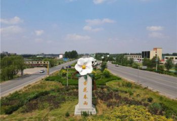 杏花雕塑常用，景觀概念，不銹鋼杏花雕塑廠家