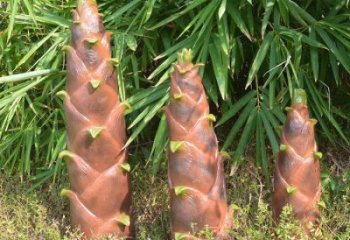 竹筍雕塑預定，創意雕塑，不銹鋼竹筍雕塑選用