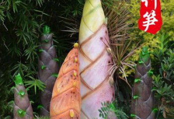 竹筍雕制造商，室外軟裝，不銹鋼竹筍雕塑生產商