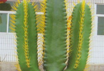 陽庭院仙人掌雕塑